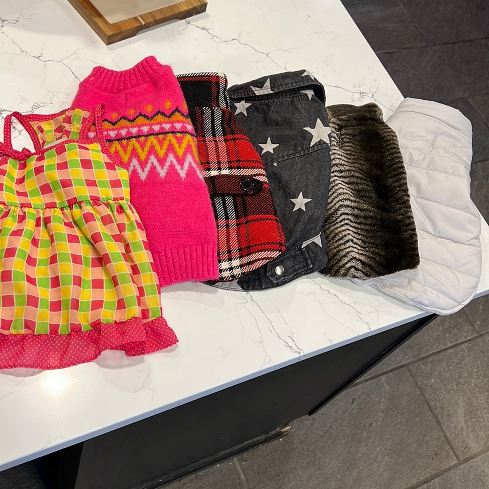 Small dog coats